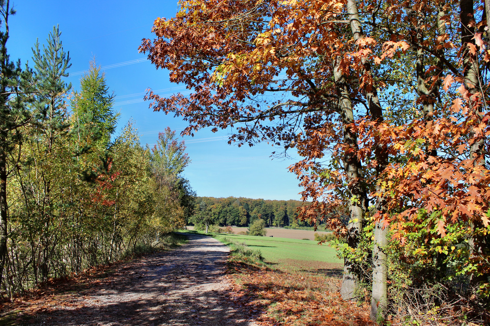 Das ist Herbst im Taunus