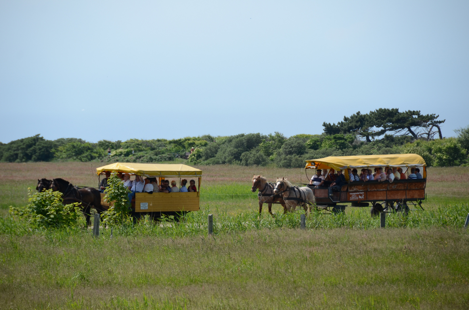 Das ist Hiddensee