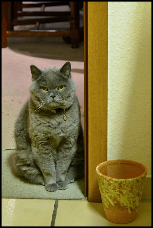 "Das ist jetzt nicht Dein Ernst, oder?!? Wasser? Für mich?!?