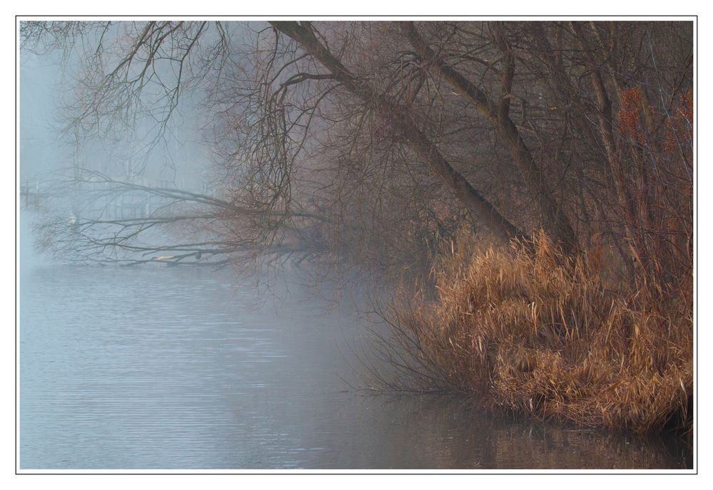  Das ist kein Motiv , nur Gestrypp-Fotografie