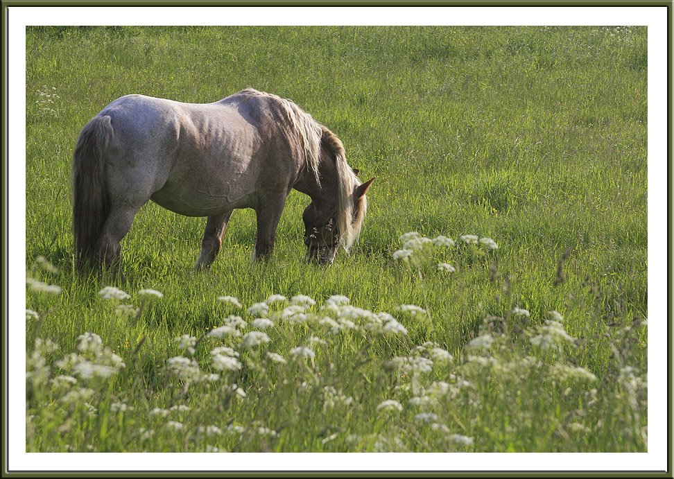 das ist Luise....