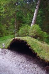 Das ist mal eine echt coole Höhle.