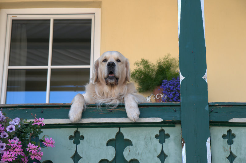 Das ist mein Haus!!!