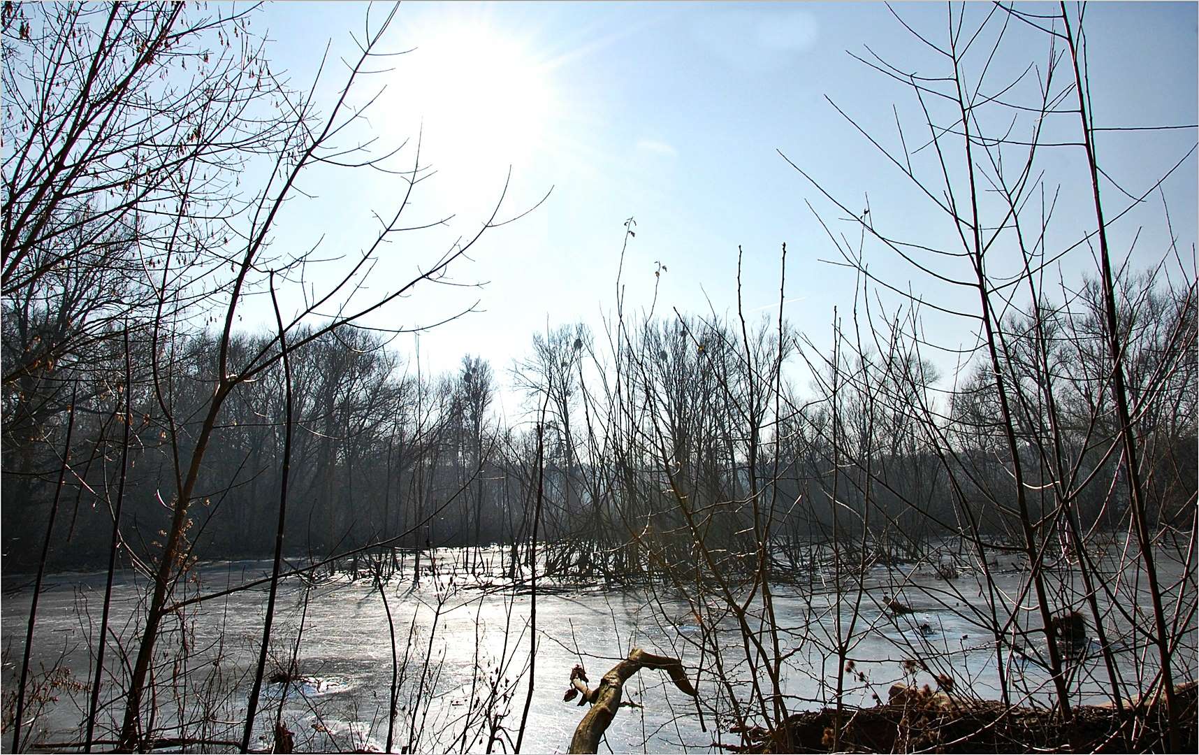 Das ist mein letztes Bild aus der Reihe "eine Stunde im Winter an der Havel"