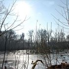 Das ist mein letztes Bild aus der Reihe "eine Stunde im Winter an der Havel"