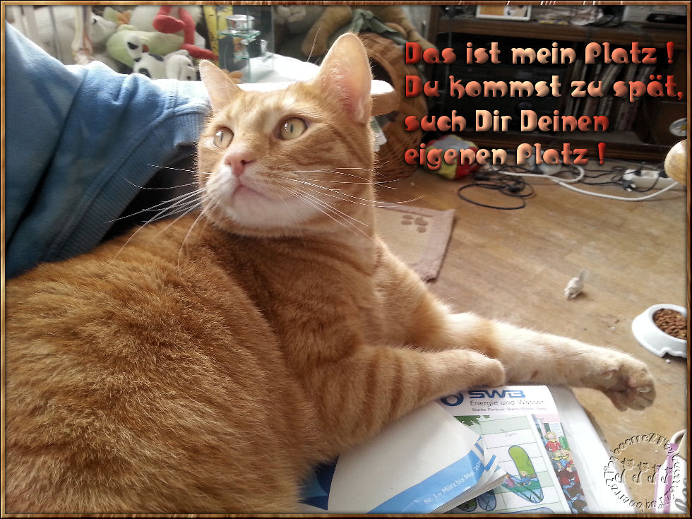 Das ist mein Platz