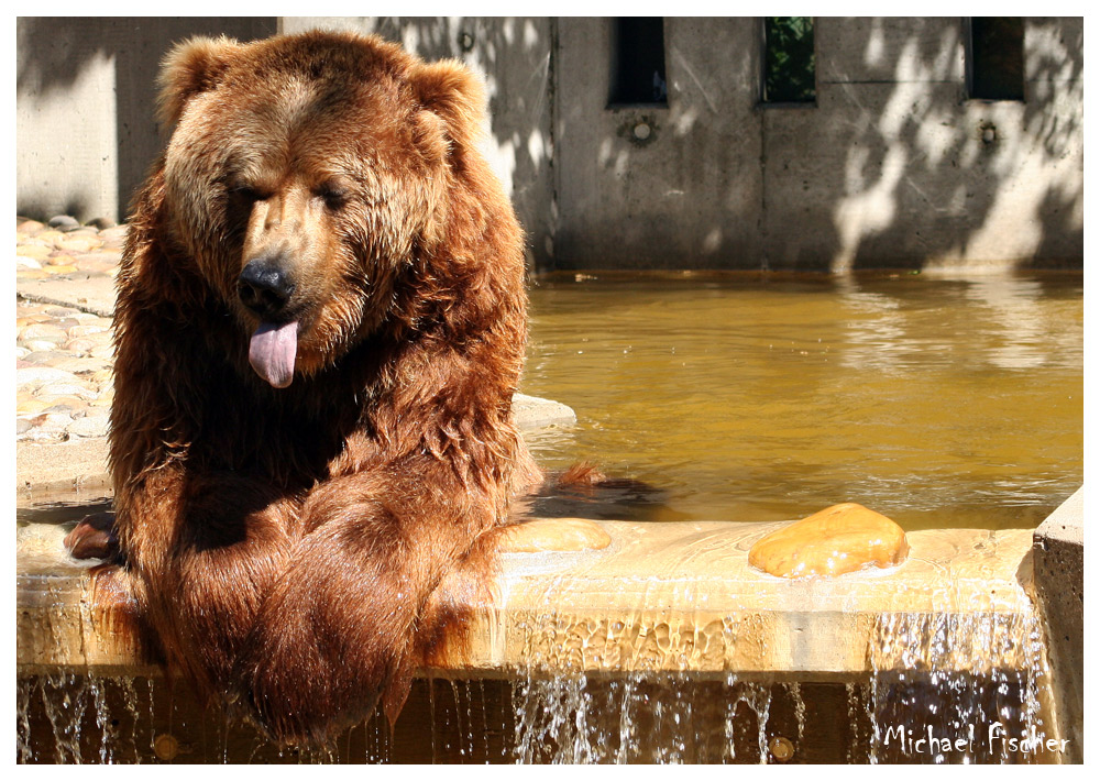 Das ist mein Pool...