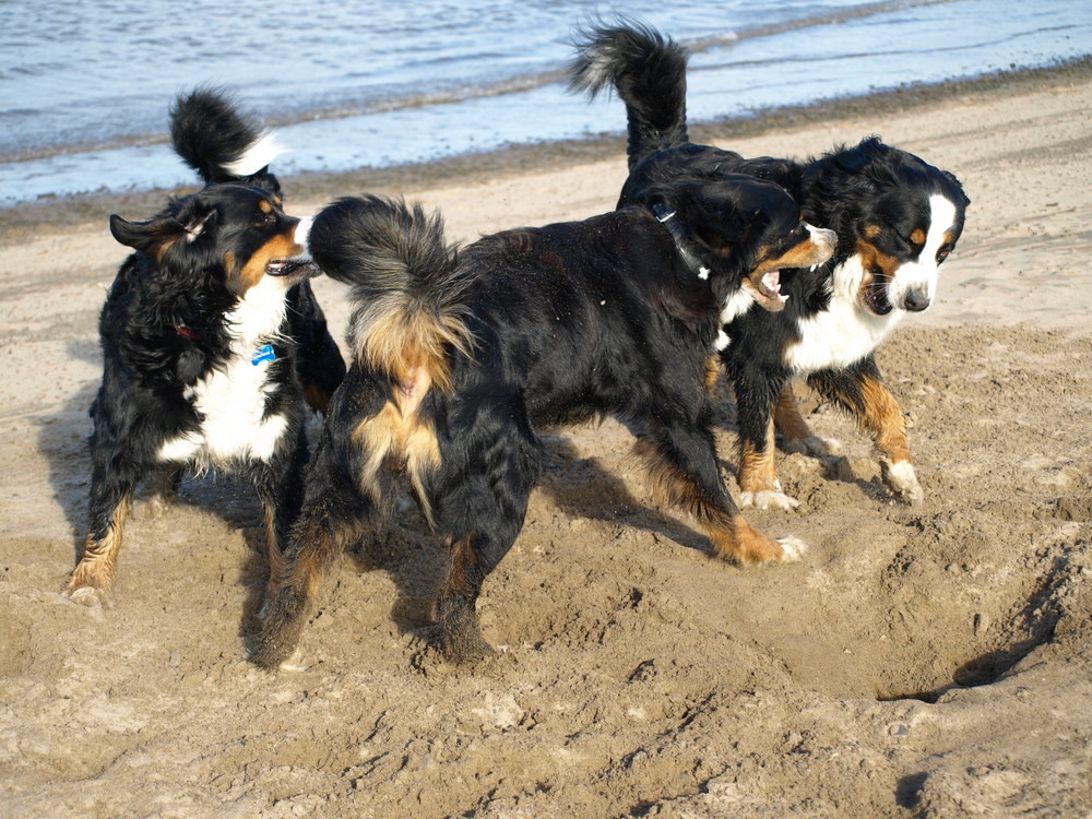 Das ist mein Sandkasten 1