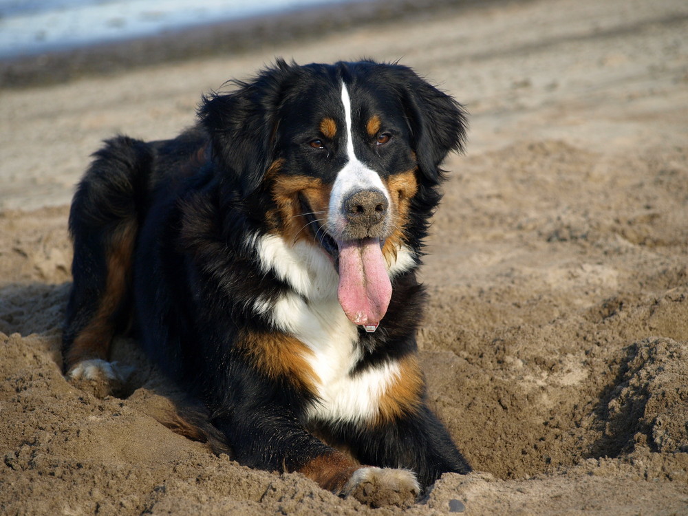 Das ist mein Sandkasten 3