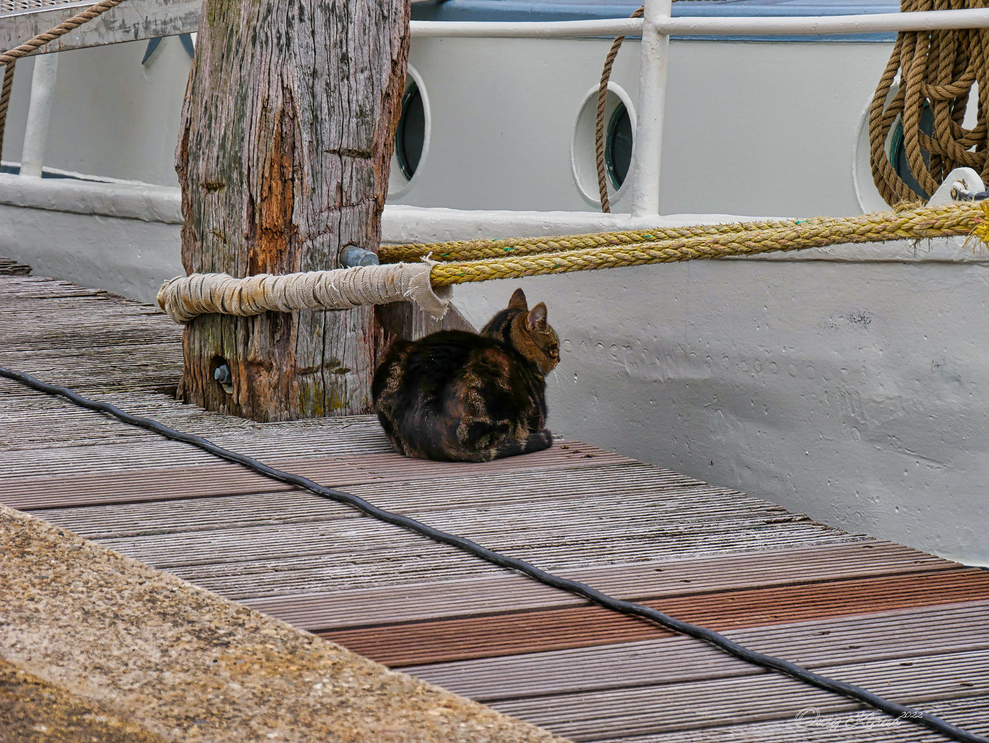 Das ist mein Schiff