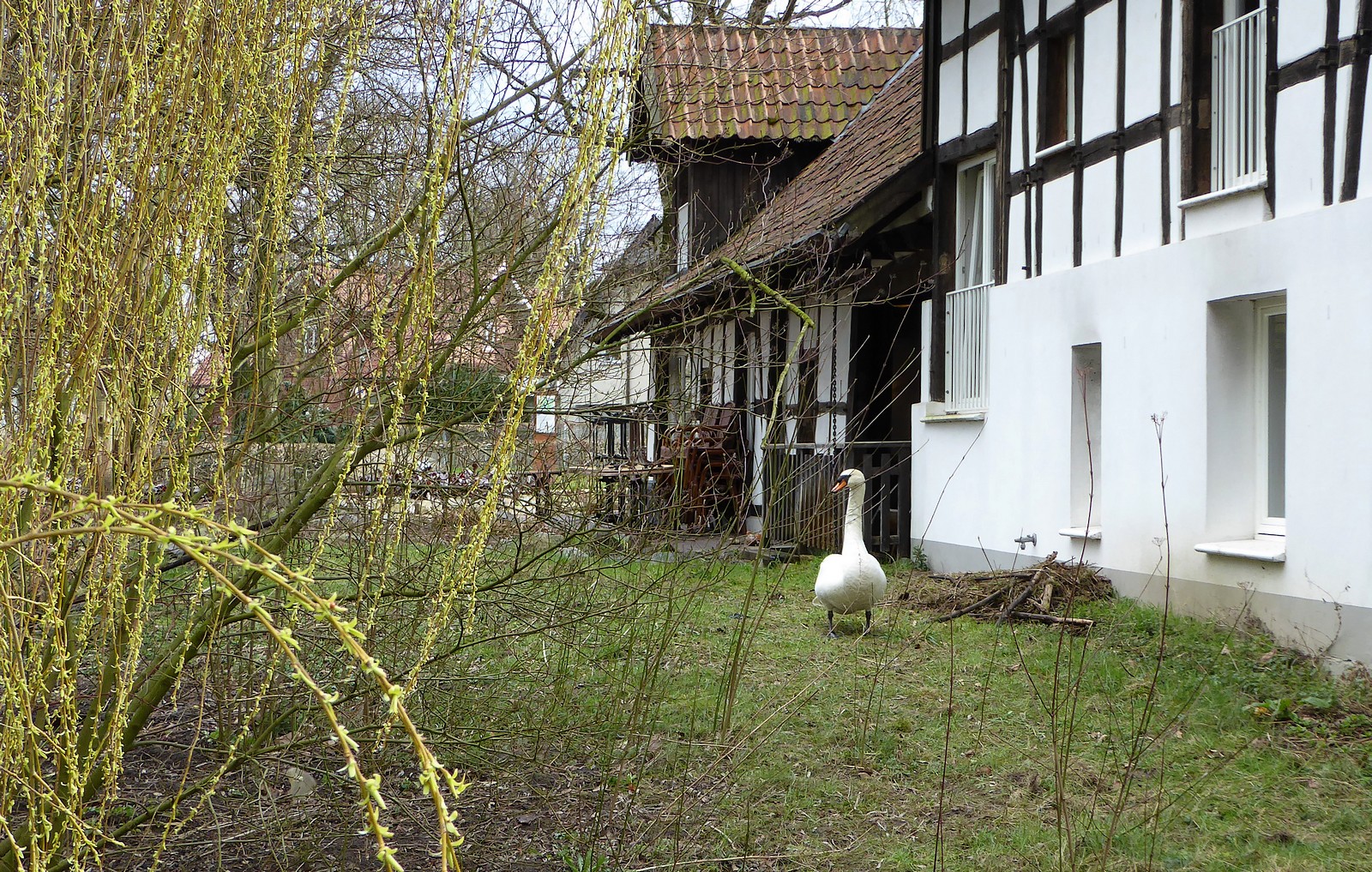 "Das ist mein Zuhause!"