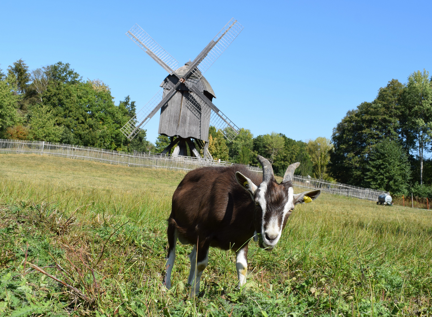 Das ist meine Mühle