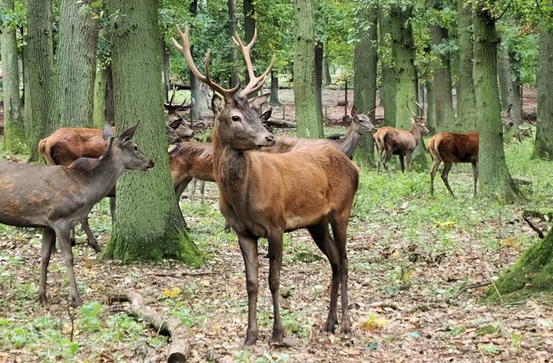 Das ist meine Schokoladenseite…