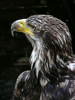 Das ist meine Schokoladenseite...