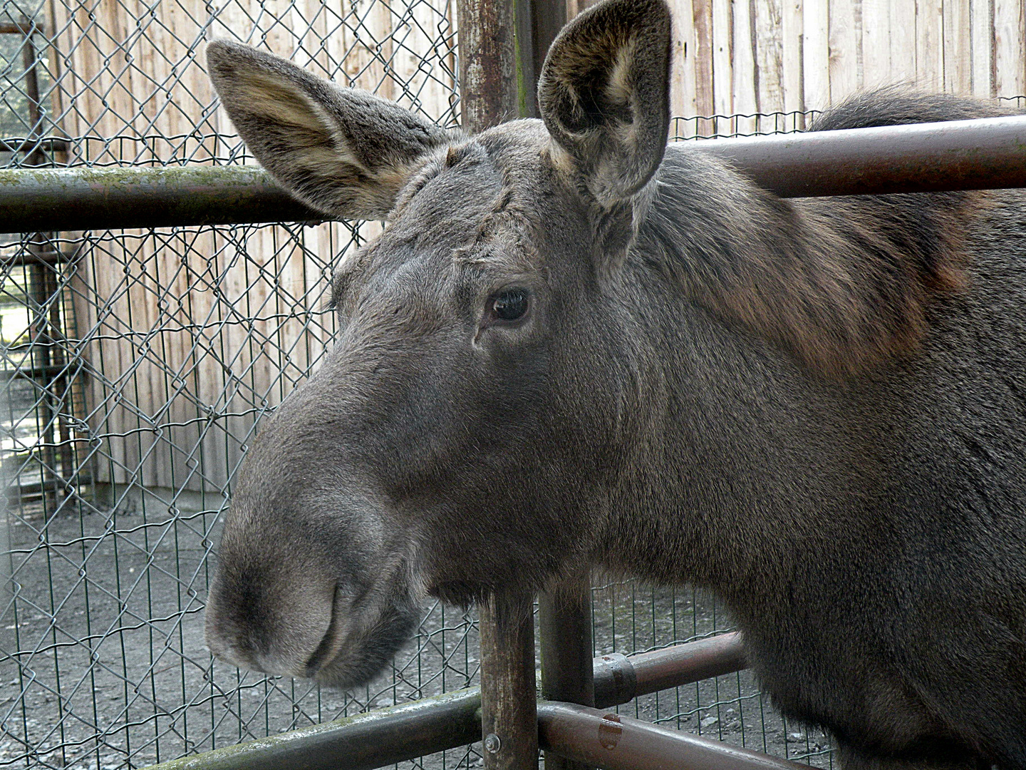 das ist nicht der Blick übern Zaun sondern durch den Zaun