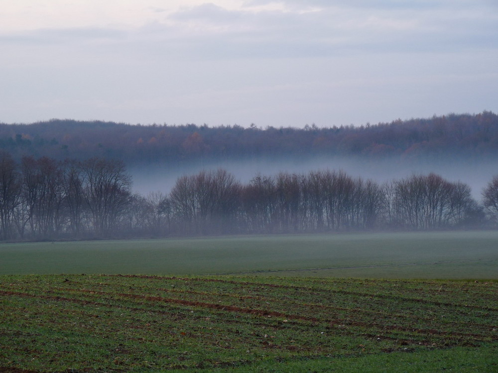 Das ist Niederrhein...