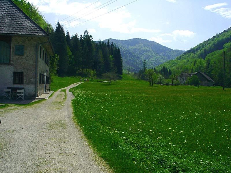 Das ist Österreich...