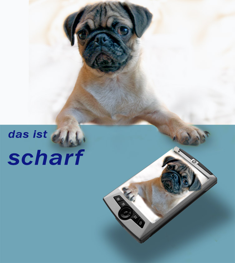 ...das ist scharf...