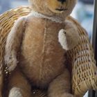 Das ist Teddy