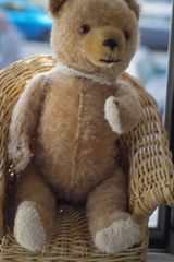 Das ist Teddy