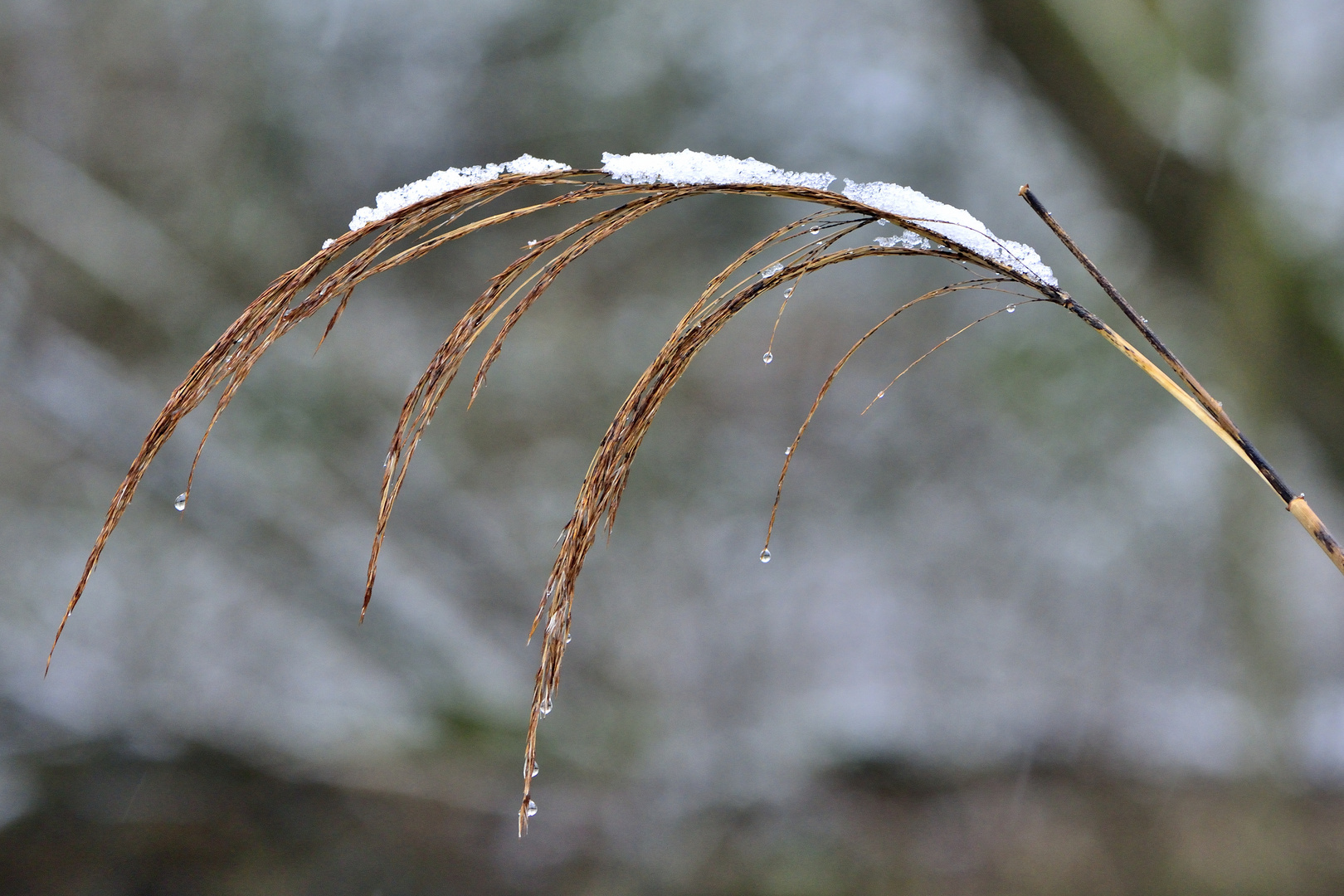 Das ist unser Winter