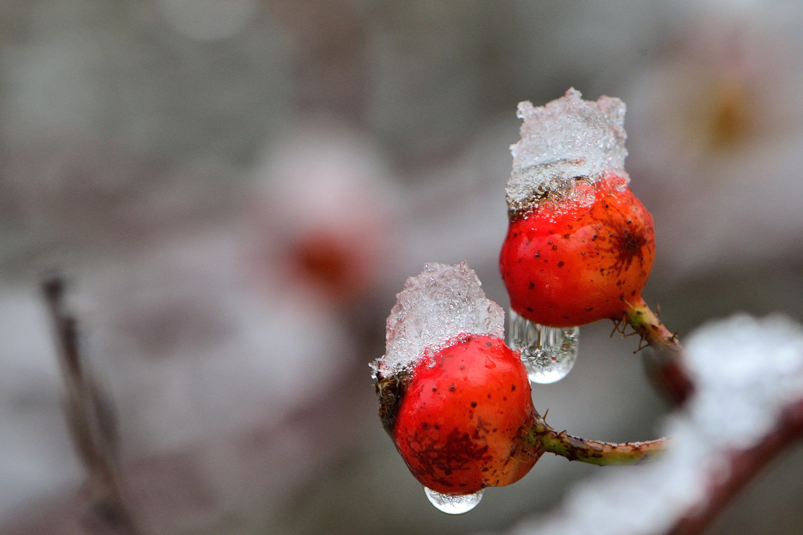 Das ist unser Winter.