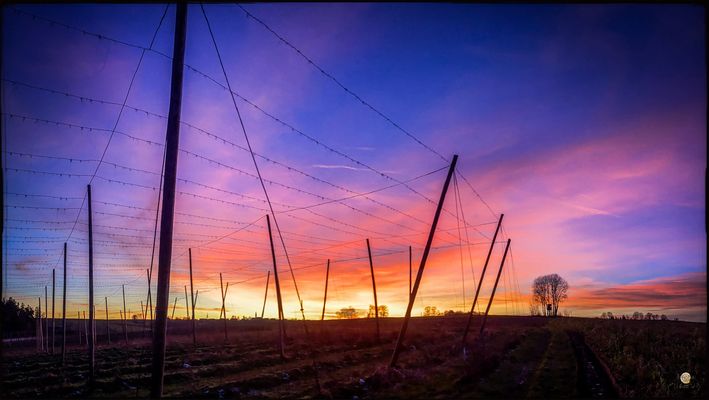 Das ist wie Musik ...