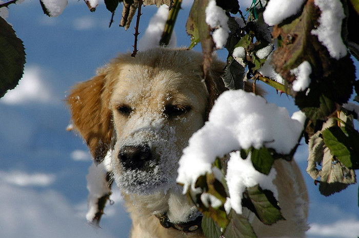 _das_ ist Winter