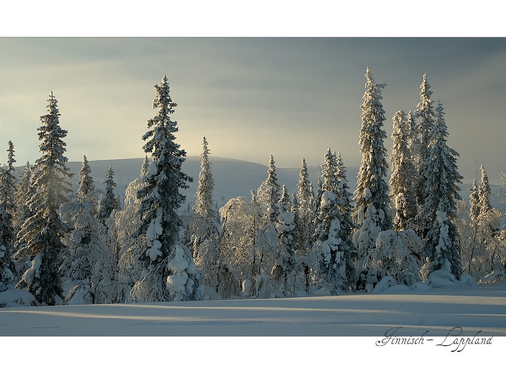 Das ist Winter