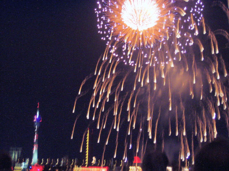 Das Japanfeuerwerk in Düsseldorf