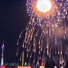 Das Japanfeuerwerk in Düsseldorf