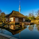 Das japanische Teehaus Planten un Blomen