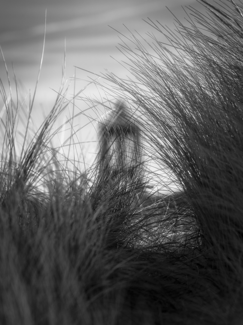 Das Kaap auf Borkum