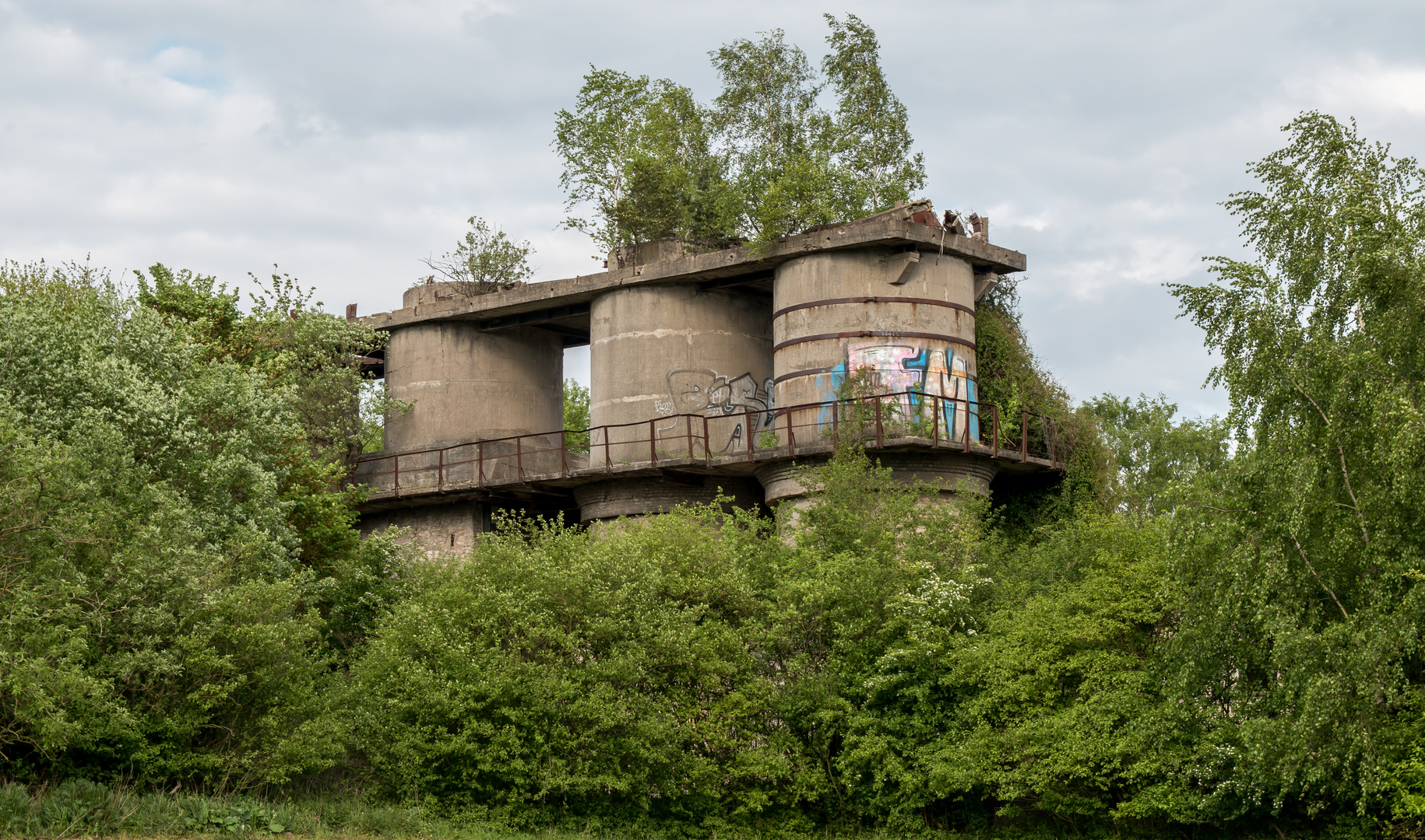 Das Kalkwerk im grünen