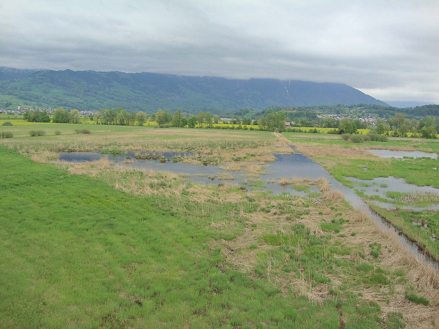 Das Kaltbrunner Riet