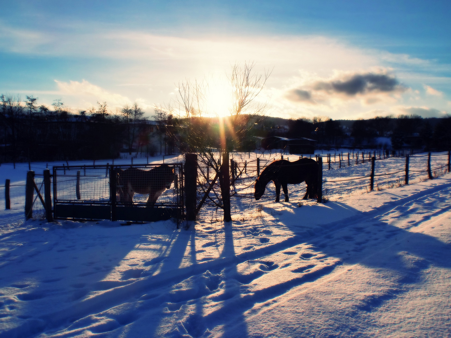 Das kalte Winterland ...