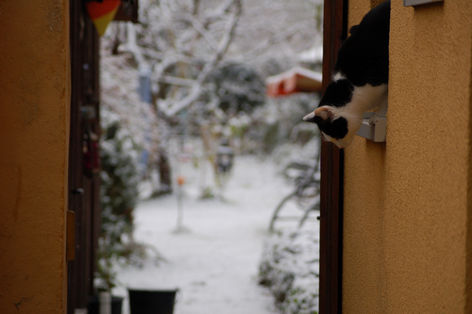 das kalte Winterwetter