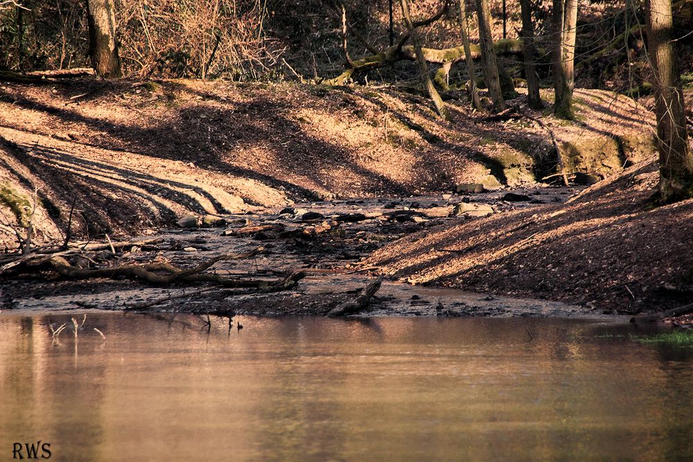 Das Kaltenbachtal in Cronenberg