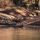 Das Kaltenbachtal in Cronenberg