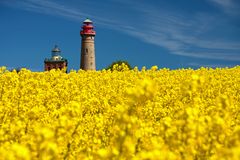 Das Kap Arkona versinkt im Raps...