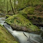 Das Karlstalschlucht ist eines der schönsten Wanderziele im Pfälzerwald...