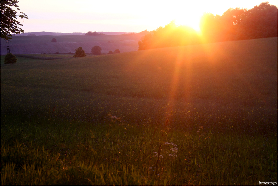 Das Katzengebirge