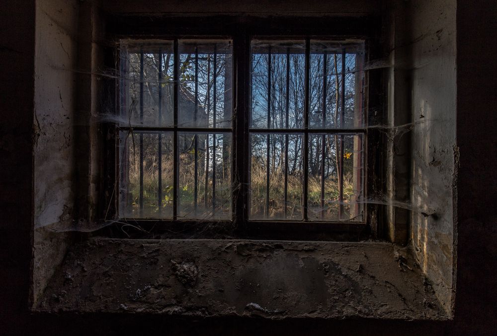 Das Kellerfenster Foto & Bild | architektur, lost places, lostplaces