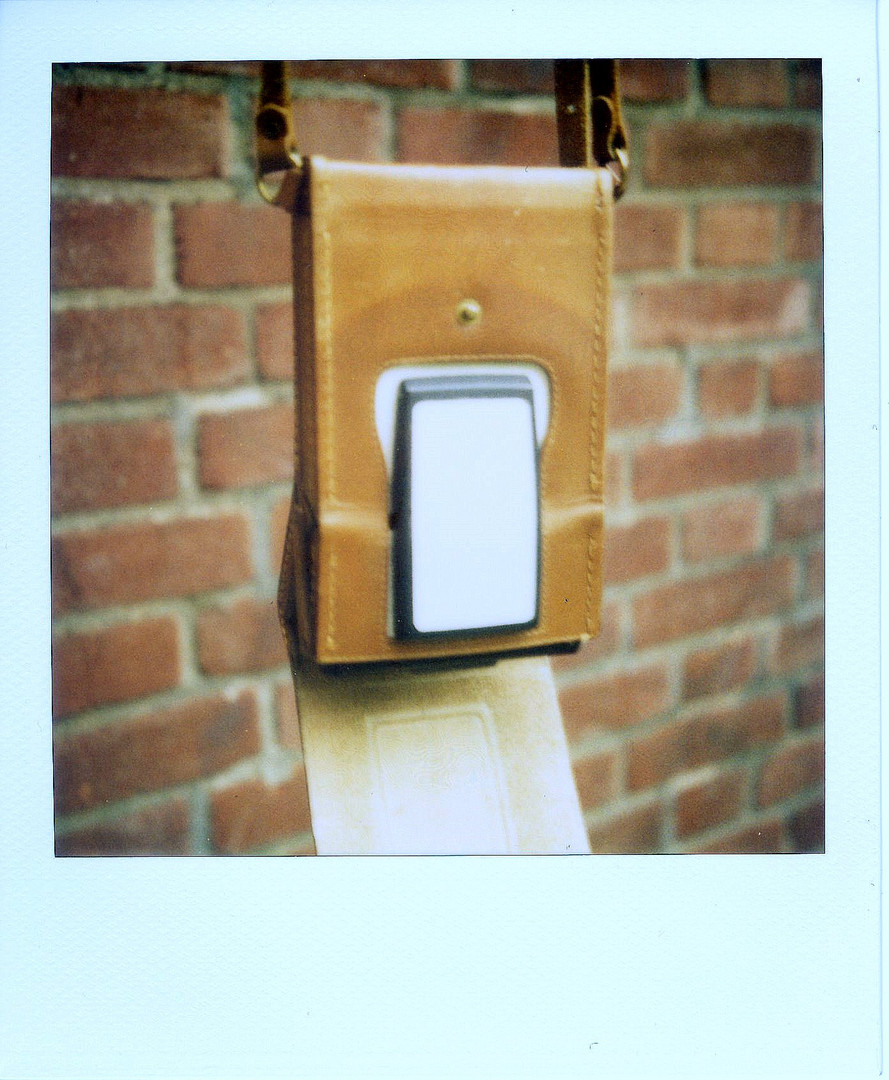 Das ketzte Pola mit der SX-70 auf 600er Film.