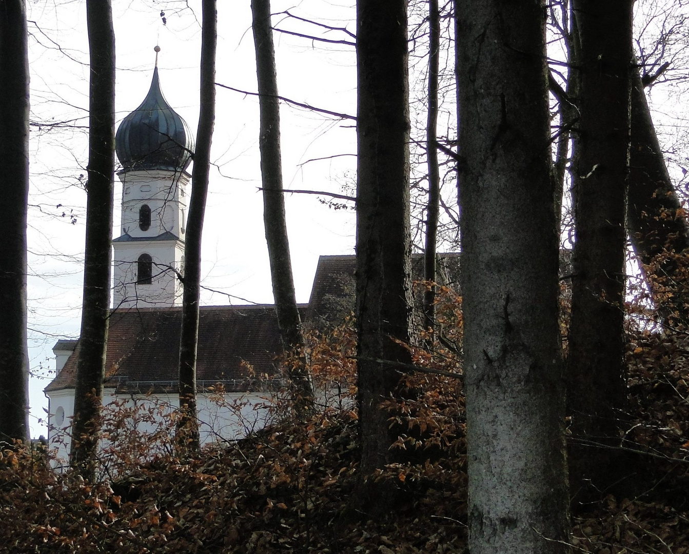 Das Kirchlein hinterm Wald