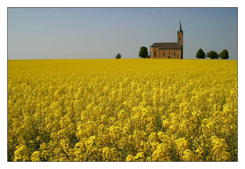 Das Kirchlein im Raps