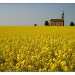 Das Kirchlein im Raps