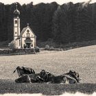 Das Kirchlein in den Dolomiten (DSCN1962)