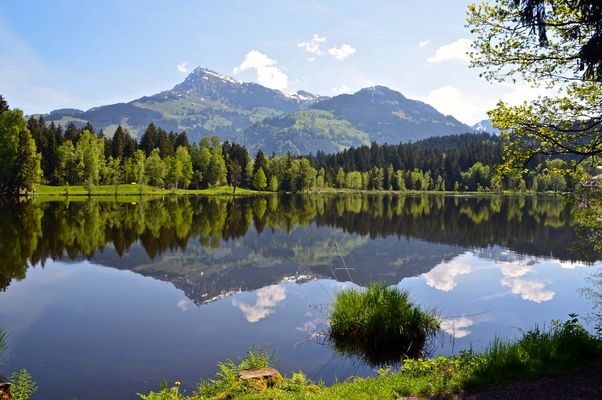 Das Kitzbühler Horn