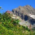 Das Kitzsteinhorn 